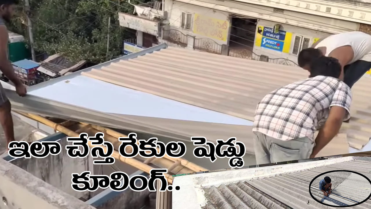 Heat Solutions Heat: రేకుల షెడ్డులో వేడితో తట్టుకోలేకపోతున్నారా? ఇలా చేస్తే ఏసీలాంటి కూలింగ్..!