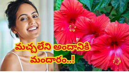మందార పువ్వులతో ఫేస్ జెల్.. మచ్చలేని, కాంతివంతమైన చర్మం కోసం