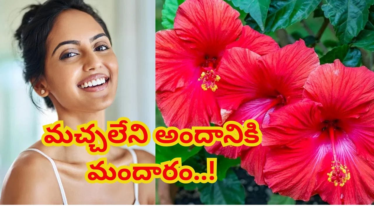 మందార పువ్వులతో ఫేస్ జెల్.. మచ్చలేని, కాంతివంతమైన చర్మం కోసం సహజమైన చిట్కా!