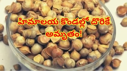 హిమాలయ కొండల్లో దొరికే అమృతం పహాడీ వెల్లుల్లి.. ఆ మొండి వ్యాధులకు