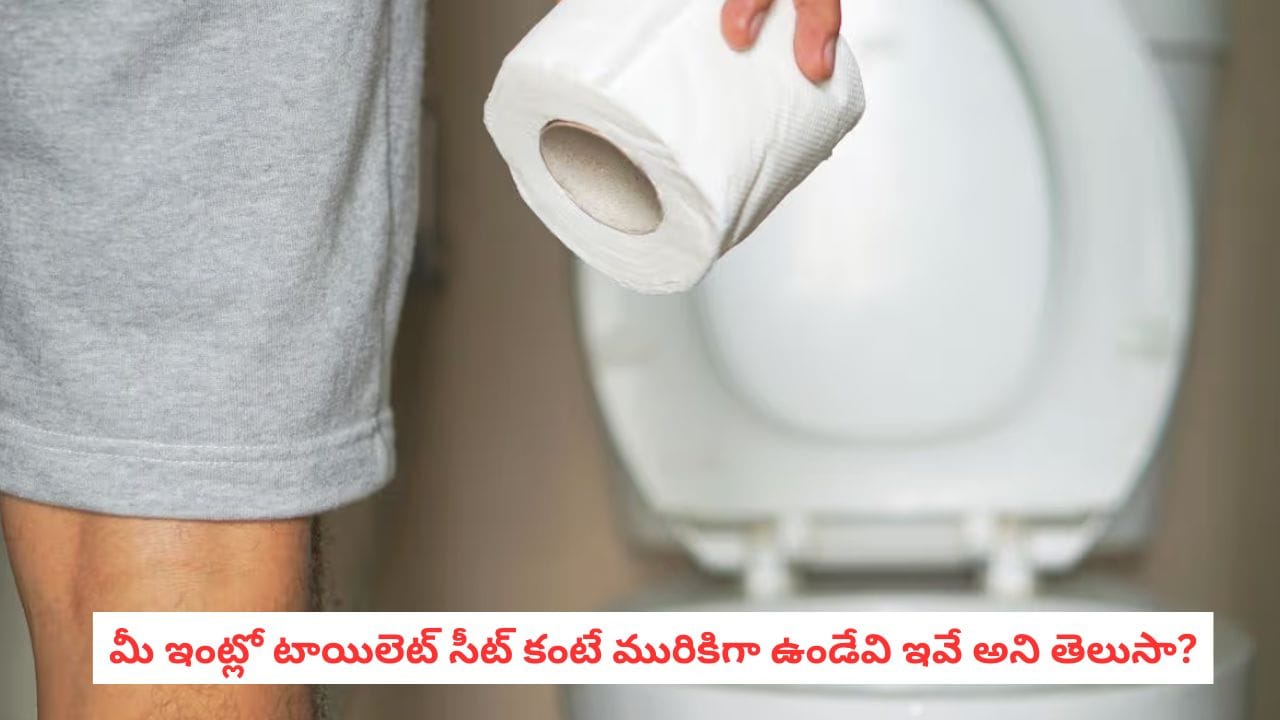 Household Hygiene: నమ్మడం కష్టమే కానీ.. టాయిలెట్ సీట్ కంటే ఎక్కువ క్రిములు ఉండేవి వీటిపైనే! – politics Household Hygiene: నమ్మడం కష్టమే కానీ.. టాయిలెట్ సీట్ కంటే ఎక్కువ క్రిములు ఉండేవి వీటిపైనే! – politics