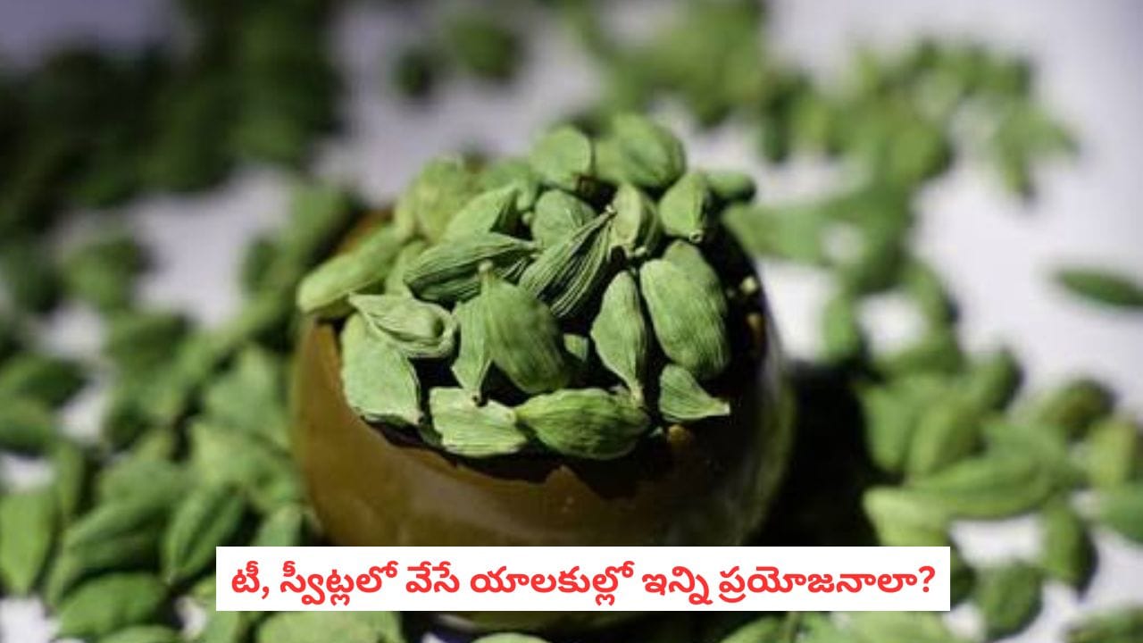 Green Cardamom Benefits: భోజనం తర్వాత పచ్చి యాలకులు నములుతున్నారా? ఇది తెలిస్తే ఎగిరి గంతేస్తారు.! Green Cardamom Benefits: భోజనం తర్వాత పచ్చి యాలకులు నములుతున్నారా? ఇది తెలిస్తే ఎగిరి గంతేస్తారు.!
