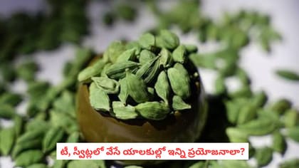 టీ, స్వీట్లలో వేసే యాలకుల్లో ఇన్ని ప్రయోజనాలా?