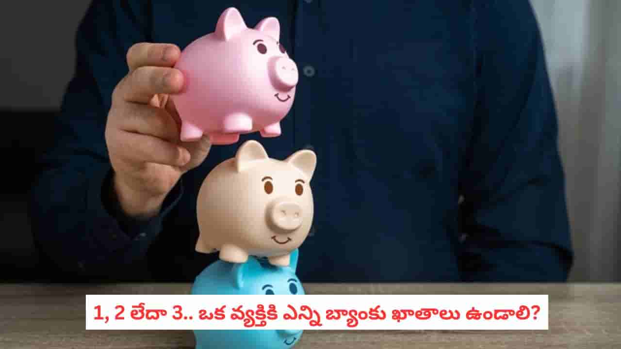 Bank Accounts: ఒకటికి మించి బ్యాంకు ఖాతాలు ఉంటే వచ్చే సమస్యలివే! అసలు ఎన్ని ఖాతాలు ఉండాలో తెలుసా?