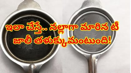 జిడ్డు పట్టిన టీ జాలిని కొత్తదానిలా మెరిపించే చిట్కాలు-మరకలు మాయం