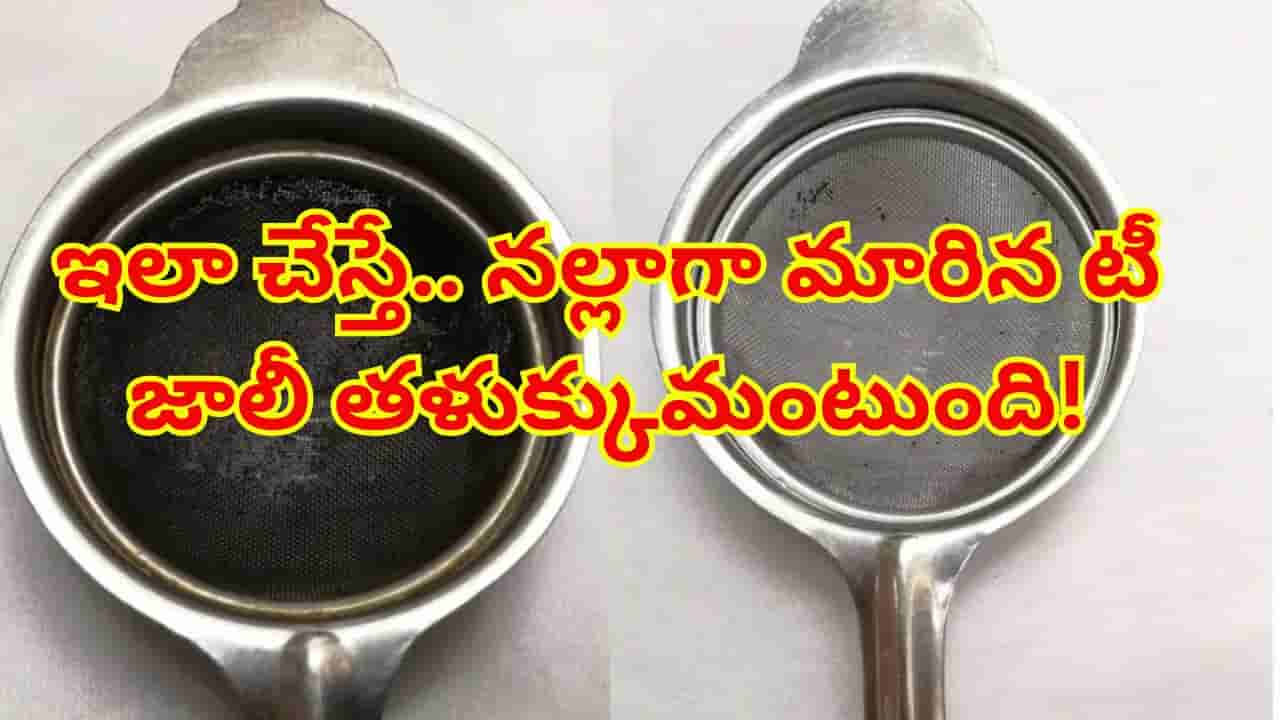 జిడ్డు పట్టిన టీ జాలిని కొత్తదానిలా మెరిపించే చిట్కాలు.. నల్లటి మరకలు చిటికెలో మాయం!