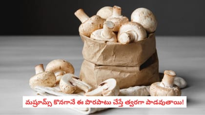 మష్రూమ్స్‌ కొనగానే ఈ పొరపాటు చేస్తే త్వరగా పాడవుతాయి!