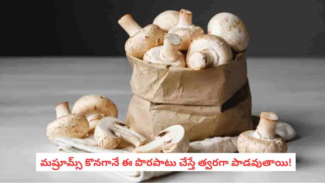 Mushrooms Storage Tips: మష్రూమ్స్ ఫ్రిజ్లో పెట్టినా పాడవుతున్నాయా? ఈ చిన్న తప్పులే కారణం కావచ్చు!
