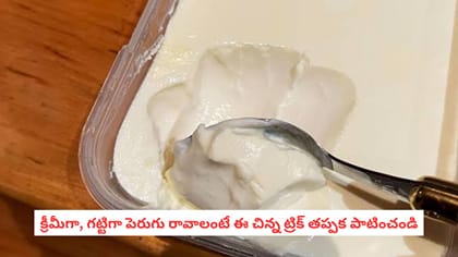 క్రీమీగా, గట్టిగా పెరుగు రావాలంటే ఈ చిన్న ట్రిక్ తప్పక పాటించండి