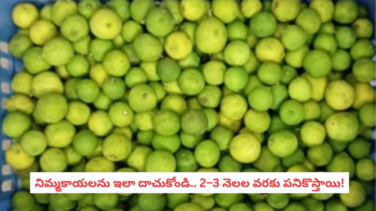 Telugu News Headlines | Nimisham