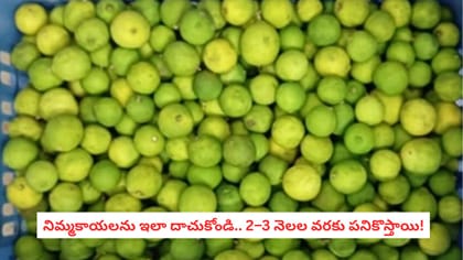 నిమ్మకాయలను ఇలా దాచుకోండి.. 2–3 నెలల వరకు పనికొస్తాయి!