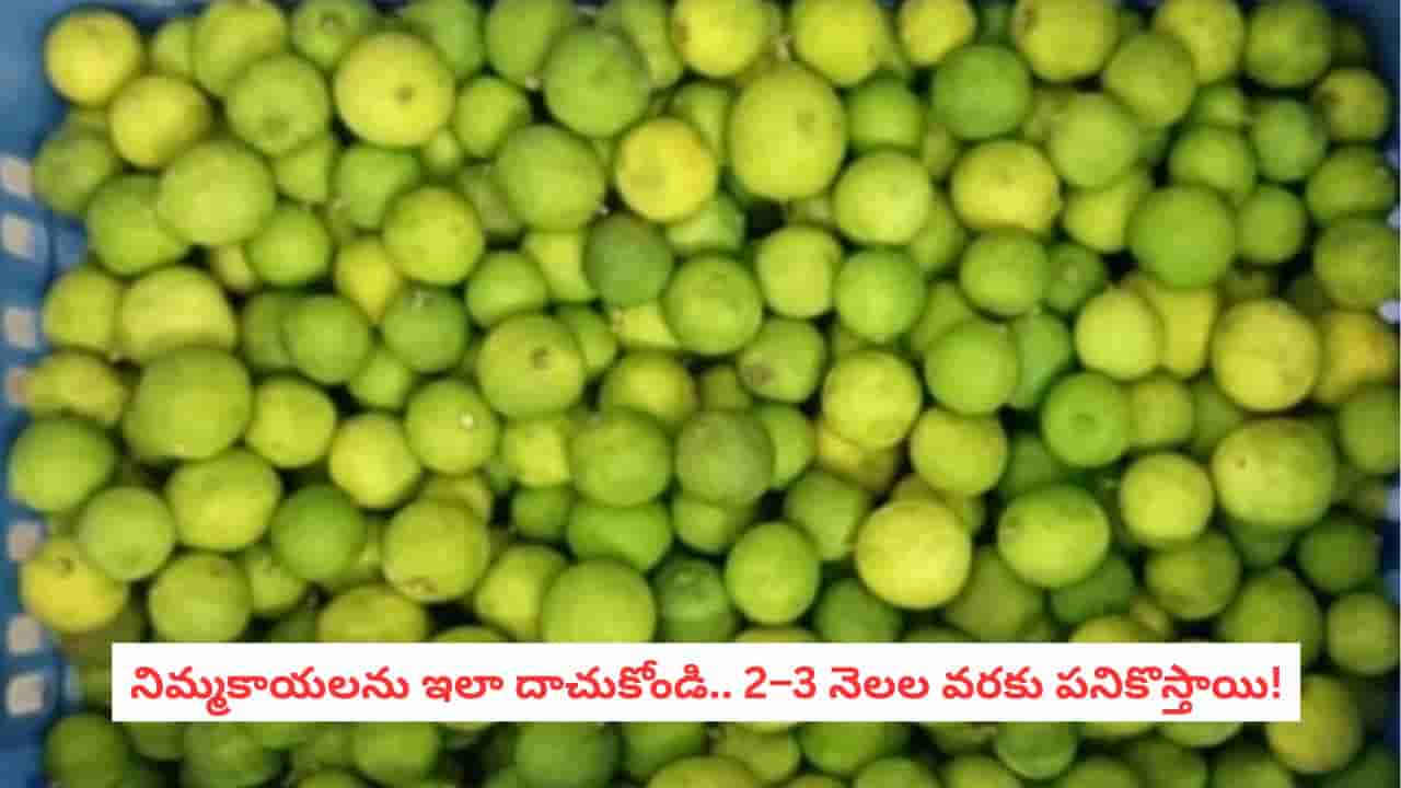 Lemon Storage Tips: నిమ్మకాయల ధరలు పెరిగాయా? ఒక్కసారి ఇలా స్టోర్ చేస్తే నెలల పాటు కొనాల్సిన పనిలేదు!