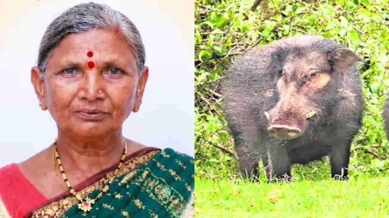 Telangana: పంది మాసం కోసం భార్య ప్రాణం తీసిన భర్త.. అసలు ఏం జరిగిందంటే?