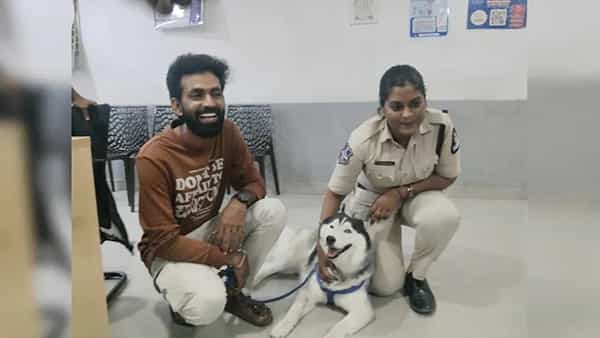 తప్పిపోయిన షిరో.. ఎట్టకేలకు 20 కి.మీ. దూరంలో ఆచూకీ లభ్యం..! ఎలా దొరికిందో తెలుసా..?