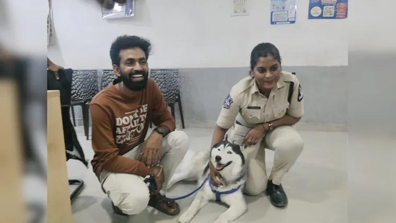 తప్పిపోయిన షిరో.. ఎట్టకేలకు 20 కి.మీ. దూరంలో ఆచూకీ లభ్యం..! ఎలా దొరికిందో తెలుసా..?