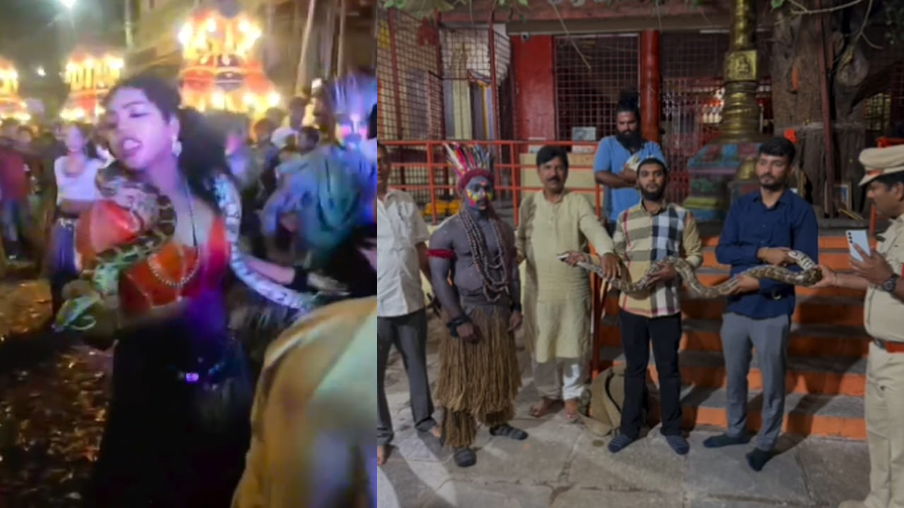 Watch: అమ్మో.. మెడలో అంత పెద్ద పామా..! అరుదైన కొండచిలువతో రోడ్డుపైనే యువతి కెవ్వు కేక డ్యాన్స్..!
