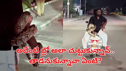 ఐటీ హబ్‌లో అర్థరాత్రి కొండచిలువ హల్చల్.. యువకుడి ఏం చేశాడో చూడండి