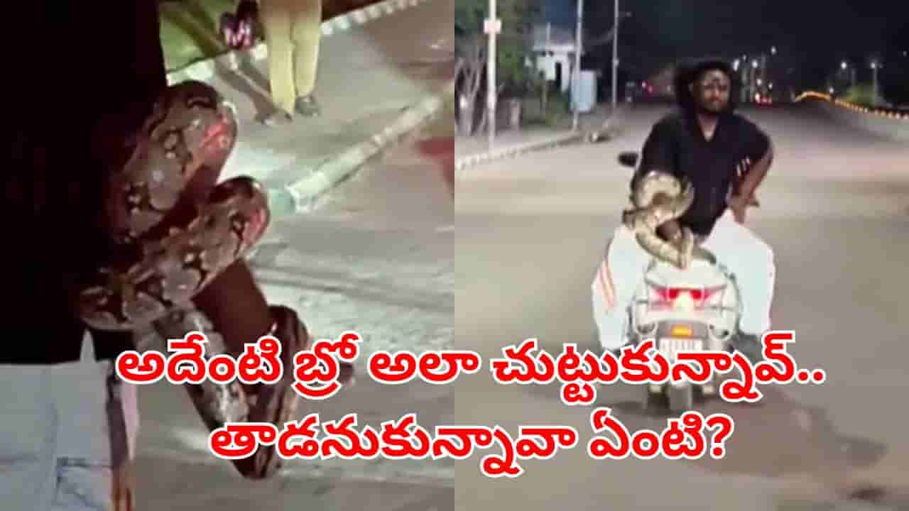 Viral Video: ఐటీ హబ్లో అర్థరాత్రి కొండచిలువ హల్చల్.. యువకుడి ఏం చేశాడో చూడండి..