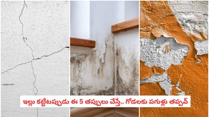 ఇల్లు కట్టేటప్పుడు ఈ 5 తప్పులు చేస్తే.. గోడలకు పగుళ్లు తప్పవ్