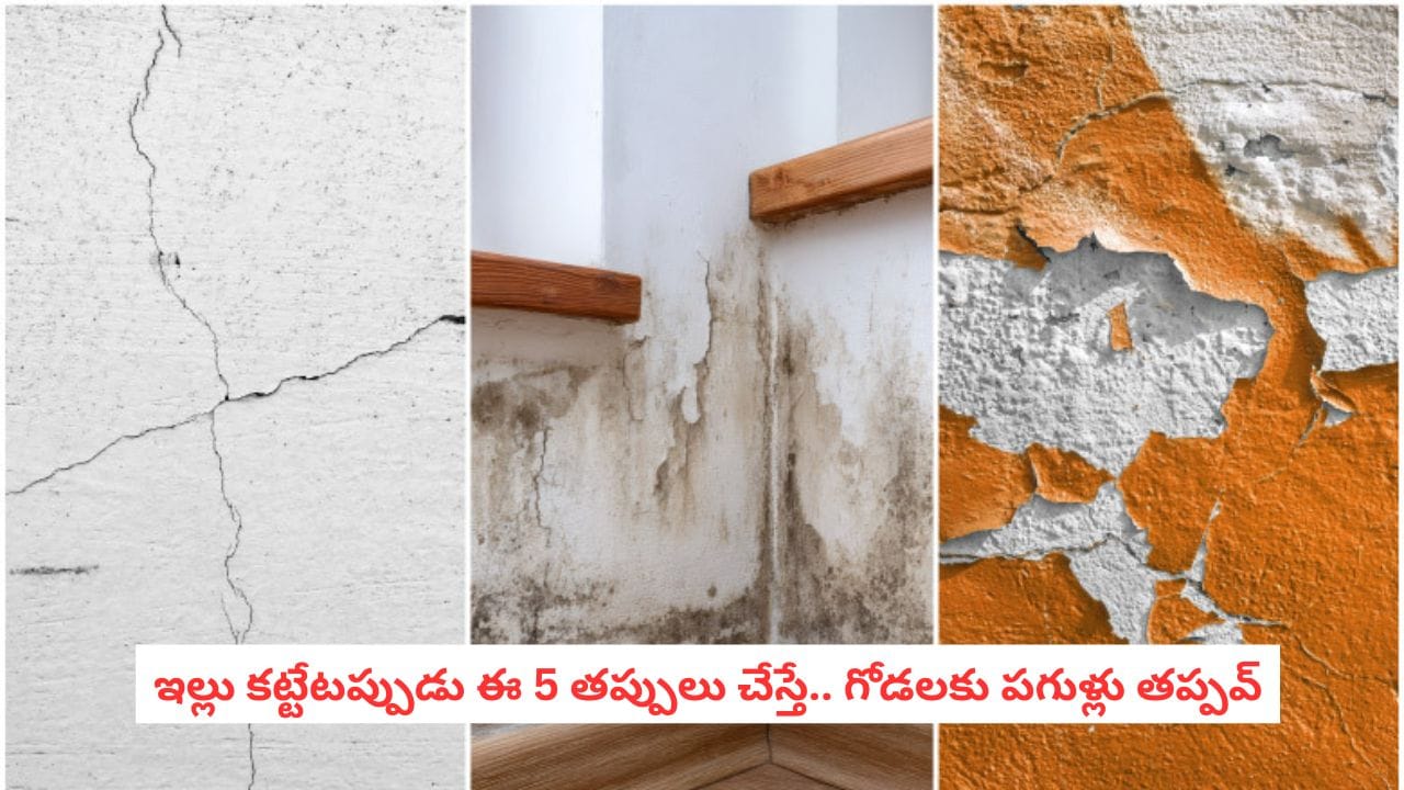 House Construction Tips: కొత్త ఇంటికే గోడ పగుళ్లు వస్తున్నాయా? ఇల్లు కట్టేటప్పుడే ఈ జాగ్రత్తలు తీసుకోండి