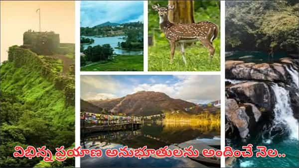 అక్టోబర్లో ట్రిప్ ప్లాన్ చేస్తున్నారా? ఈ 7 టూరిస్ట్ ప్లేసులు అస్సలు మిస్ కావొద్దు!