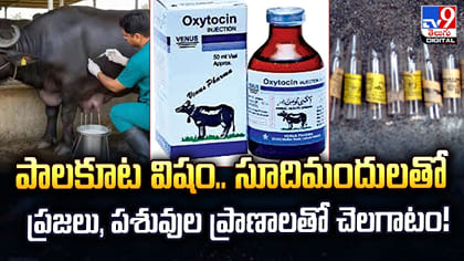 పాలకూట విషం.. సూదిమందులతో ప్రజలు, పశువుల ప్రాణాలతో చెలగాటం!
