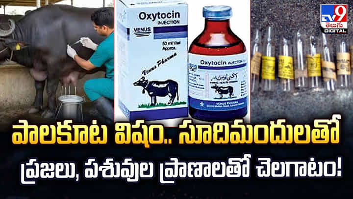 పాలకూట విషం.. సూదిమందులతో ప్రజలు, పశువుల ప్రాణాలతో చెలగాటం! పాలకూట విషం.. సూదిమందులతో ప్రజలు, పశువుల ప్రాణాలతో చెలగాటం!