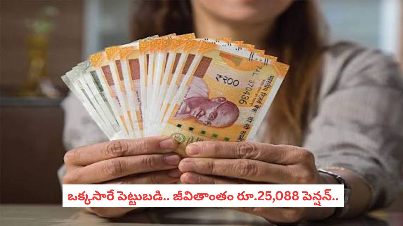 LIC Smart Pension Plan: ఒక్కసారే పెట్టుబడి.. జీవితాంతం రూ.25,088 పెన్షన్? LIC స్మార్ట్ పెన్షన్ ప్లాన్ పూర్తి వివరాలు