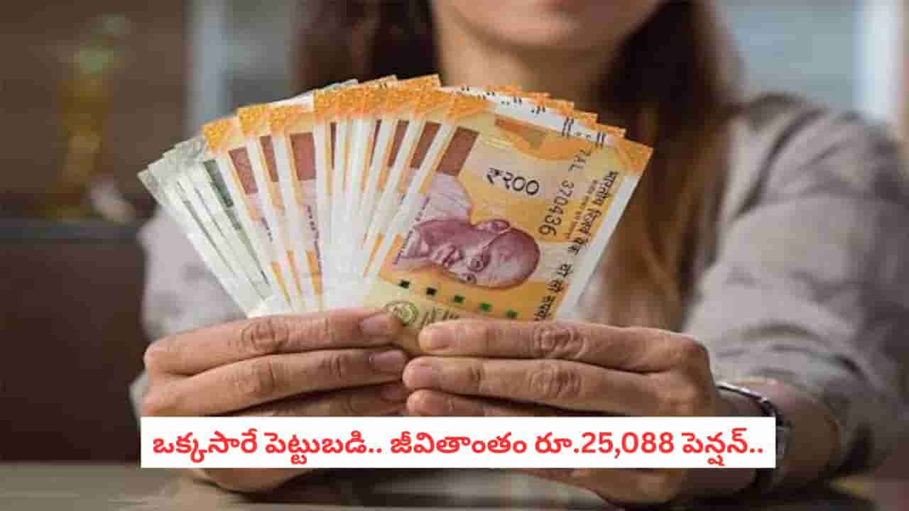 LIC Smart Pension Plan: ఒక్కసారే పెట్టుబడి.. జీవితాంతం రూ.25,088 పెన్షన్? LIC స్మార్ట్ పెన్షన్ ప్లాన్ పూర్తి వివరాలు