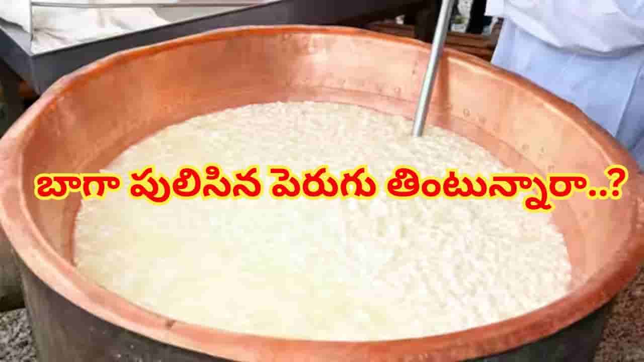 పులిసిన, పాతబడిన పెరుగు తింటున్నారా? అయితే, శరీరంలో జరిగేది ఇదే!