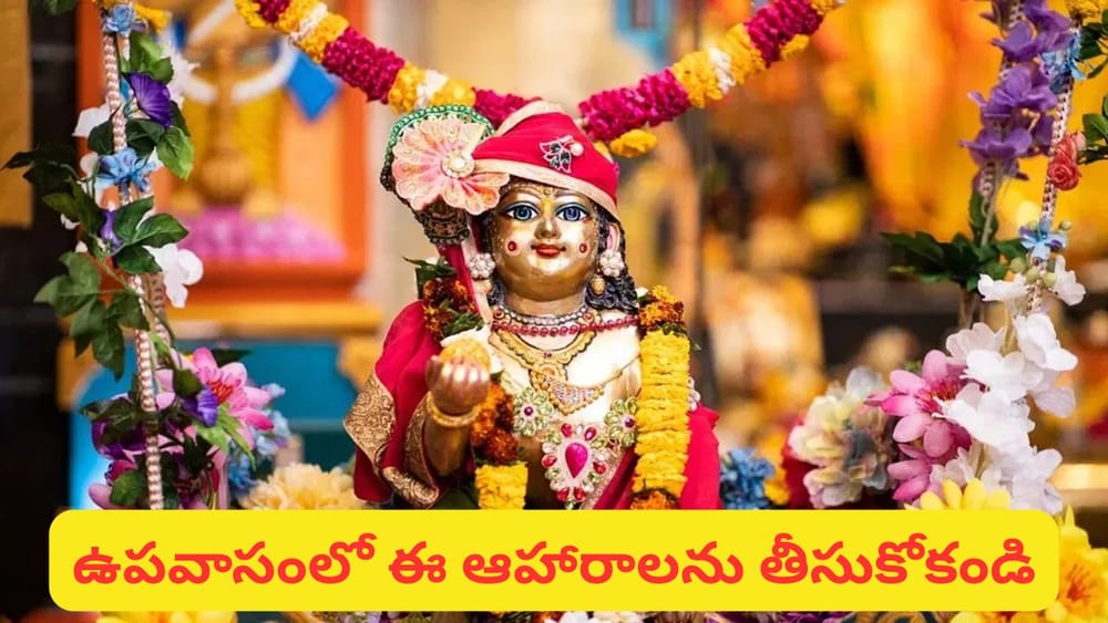 Janmashtami: జన్మాష్టమి పూజలో ఈ పొరపాట్లు చేయకండి.. శ్రీకృష్ణుడి అనుగ్రహం కోసం పాటించాల్సిన నియమాలివే