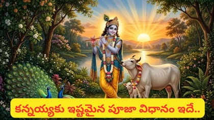 కృష్ణాష్టమి రోజు ఈ పూజలు చేయండి.. కన్నయ్య అనుగ్రహంతో ఇంట్లో..