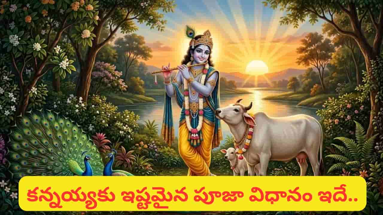 Krishna Janmashtami: కృష్ణాష్టమి రోజు ఈ పూజలు చేయండి.. కన్నయ్య అనుగ్రహంతో ఇంట్లో సిరిసంపదలు!