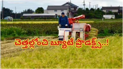 చెత్తల్లోంచి బ్యూటీ ప్రొడక్ట్స్‌..! కాస్మెటిక్స్ రంగంలో సరికొత్త
