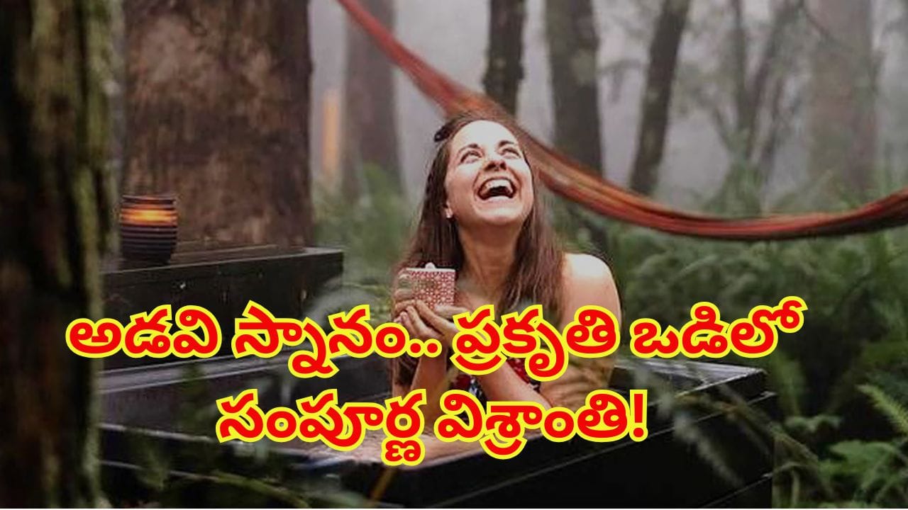 నీటి స్నానం కాదు.. పాల స్నానం కాదు.. ఒత్తిడిని తుడిచిపెట్టే అడవి స్నానం గురించి తెలుసా?