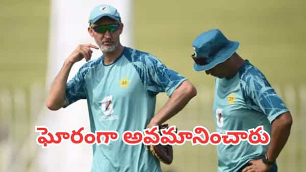 Pakistan Cricket: అవమానించి మెడపట్టి బయటకు పంపేశారు.. పాక్ బోర్డుపై మాజీ కోచ్ సంచలన ఆరోపణలు