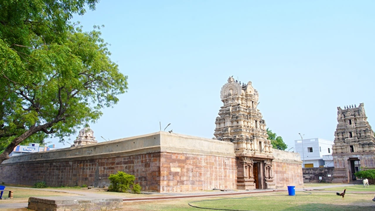 Kadapa 5