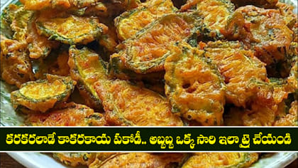 కరకరలాడే కాకరకాయ పకోడీ.. అబ్బబ్బ ఒక్క సారి ఇలా ట్రై చేయండి