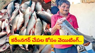 సముద్రం లేని కరీంనగర్ చేపలకు తీరంలోనూ యమ గిరాకీ.. స్పెషాలిటీ ఏంటో తెలుసా?