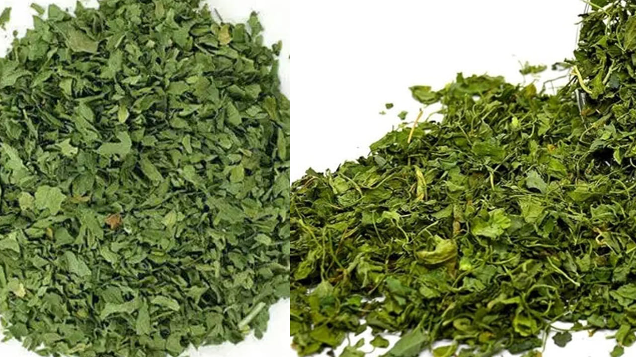 Kasuri Methi 5