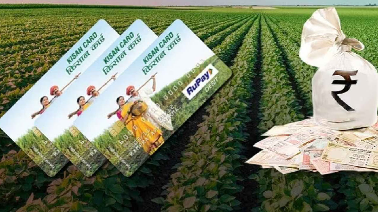Kisan Credit Card: కిసాన్ క్రెడిట్ కార్డు లోన్ చెల్లించకపోతే బ్యాంకులు రైతుల భూమిని జప్తు చేయవచ్చా..? నిబంధనలు ఇవే..