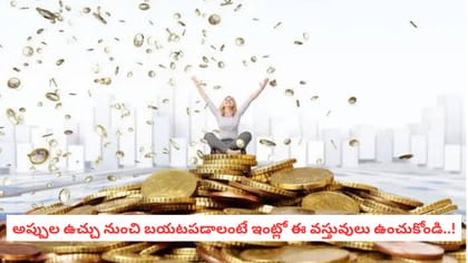 అప్పుల ఉచ్చు నుంచి బయటపడాలంటే ఇంట్లో ఈ 4 వస్తువులు ఉంచుకోండి..!