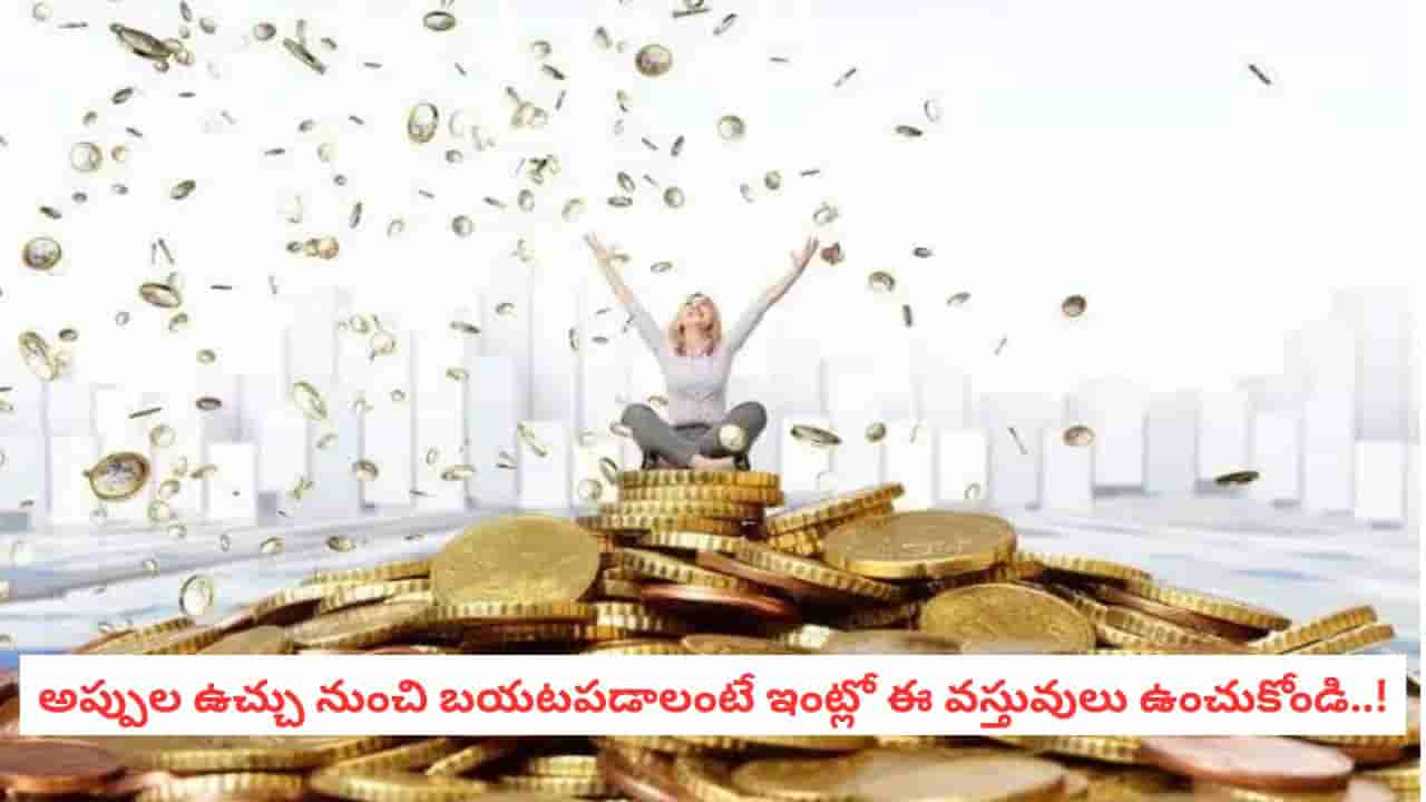 Vastu Tips for Money: అప్పులు తీరాలంటే ఇంట్లో ఈ 4 వస్తువులు ఉండాల్సిందేనట.. వాస్తు ఏం చెబుతోంది?