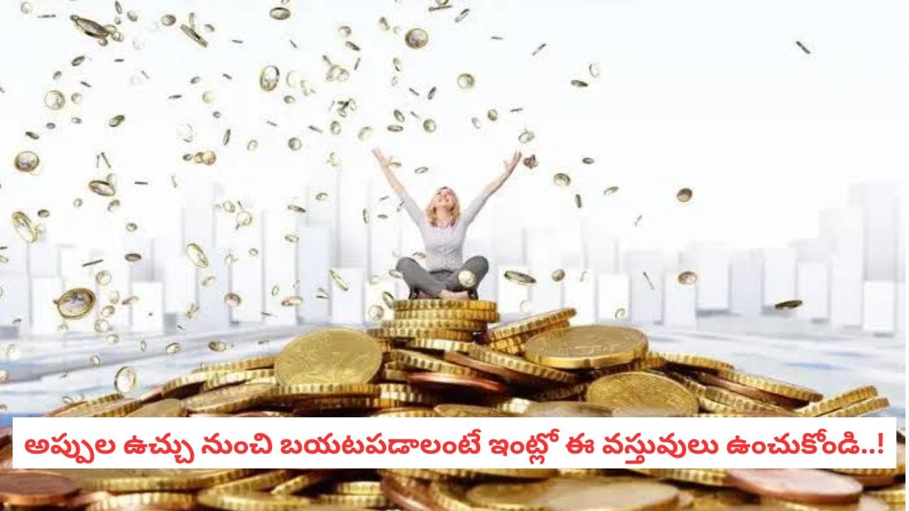 Vastu Tips for Money: అప్పులు తీరాలంటే ఇంట్లో ఈ 4 వస్తువులు ఉండాల్సిందేనట.. వాస్తు ఏం చెబుతోంది?