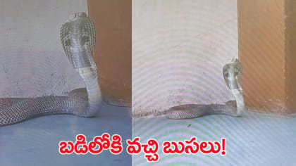 క్లాస్‌లోకి సడన్ ఎంట్రీతో పరుగులు తీసిన విద్యార్థులు!