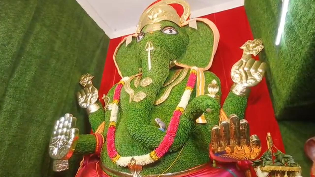 నిమజ్జనం రోజున, ఆ తర్వాతి రోజుల్లో ఈ విగ్రహ తయారీకి ఉపయోగించిన 200 కేజీల కివీ పండ్లను భక్తులకు ఆరోగ్యకరమైన ప్రసాదంగా పంపిణీ చేయనుండటం విశేషం. ఈ వినూత్న వినాయకుడిని దర్శించుకునేందుకు చుట్టుపక్కల ప్రాంతాల నుంచి భక్తులు విపరీతంగా తరలివస్తున్నారు.