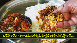 Kodiguddu Ellipaya Karam: నోరూరించే రాయలసీమ స్టైల్ ఎల్లిపాయ గుడ్డు కారం.. వేడివేడి అన్నంలో తింటే అదిరిపోతుంది!