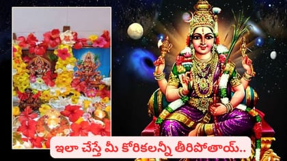 లలితా సప్తమి, అపరాజిత సప్తమి: ప్రాముఖ్యత, పూజా విధానం.. సంపద..