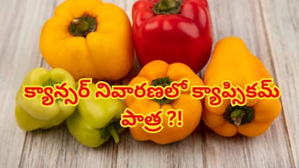 క్యాన్సర్‌కు రామబాణం క్యాప్సికమ్‌! పోషకాహార నిపుణుల సూచనలు ఇవే