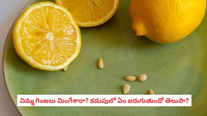 నిమ్మ గింజలు మింగేశారా? కడుపులో ఏం జరుగుతుందో తెలుసా?